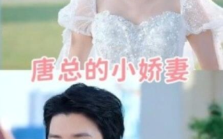 短剧《唐总的小娇妻（89集全）》免费在线观看