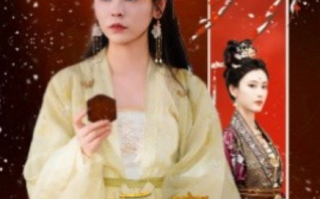 短剧《后宫风云录（69集全）》免费观看