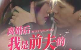 短剧《离婚后我是前夫的白月光 (2024)》全集免费在线观看