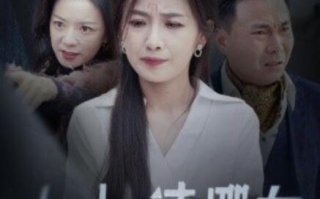 短剧《女士，请挪车（善门难开）29集全》免费在线观看