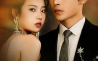 短剧《傅先生夫人又闹离婚了（80集全）》免费观看