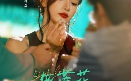 短剧《黑莲花她不装了（77集）钟凯&林鸽 (2025)》全集免费在线观看