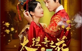 短剧《大理寺之花 (2025)》全集免费在线观看
