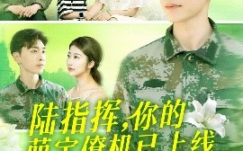 短剧《陆指挥，你的萌宝僚机已上线&陆总你的萌宝已上线（169集）胡博文&崔馨心 (2025)》全集免费在线观看