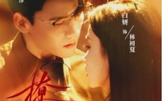 短剧《撩乱（缭乱）65集全》免费在线观看