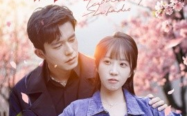 短剧《桃花门前是非多 (2025)》全集免费在线观看