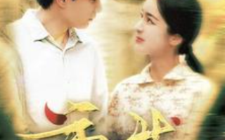 短剧《重生2004（94集全）》免费观看