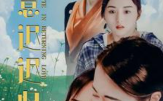 短剧《爱意迟迟归（你要等着我）85集全》免费观看