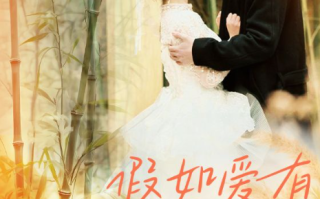 短剧《假如爱有归宿（73集全）》免费观看