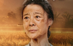 短剧《儿行千里母担忧（52集全）》免费观看