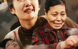 短剧《天下无诈 (2025)》全集免费在线观看