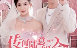 短剧《传闻陆总爱我如命 (2025)》全集免费在线观看