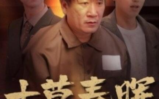 短剧《寸草春晖（1-31集）》全集免费在线观看