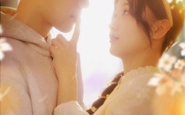 短剧《曲终离人泪（70集）刘蓝鸽&陆天玮＆李冠霖 (2025)》全集免费在线观看