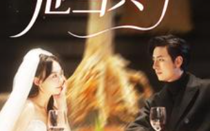 短剧《闪婚老公他当真了（81集全）》免费观看