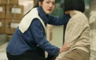 短剧《恰似人间芳菲尽（68集全）》免费观看