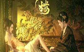 短剧《金枝楼 (2025)》全集免费在线观看