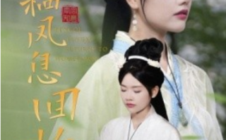短剧《凤栖凤息回故乡（36集全）》免费观看