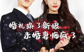 短剧《婚礼换了新娘未婚妻悔疯了 (2024)》全集免费在线观看