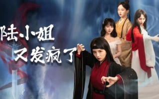 短剧《陆小姐又发疯了（1-28集）》全集免费在线观看