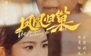 短剧《凤凰归巢（69集全）》免费观看