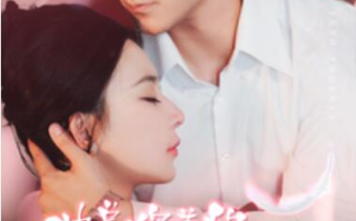 短剧《沈总你养的金丝雀变凤凰了（1-100集）》全集免费在线观看