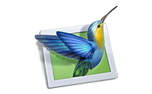 PTE AV Studio Pro v11.0.21.2 幻灯片制作软件绿色版
