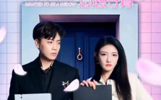 短剧《夫人她总想守寡（81集全）》免费观看