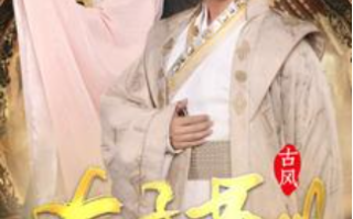 短剧《太子英明（100集全）》免费观看