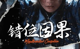 短剧《错位因果 (2024)》全集免费在线观看