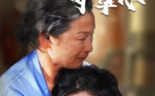 短剧《天涯寸草心（76集全）》免费观看