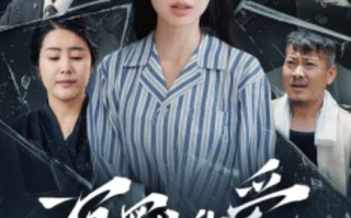 短剧《沉默的爱（100集全）》免费观看