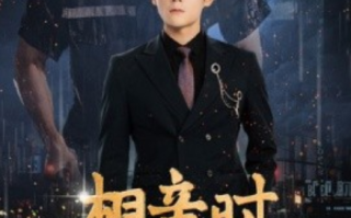 短剧《相亲时我决定继承家业（99集全）》免费观看
