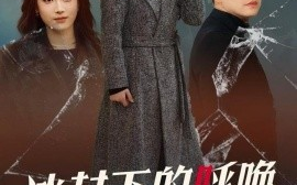短剧《冰封下的呼唤（30集）许歌&王小野 (2025)》全集免费在线观看