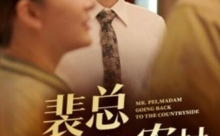 《裴总夫人要回农村（68集全）》短剧高清免费在线观看