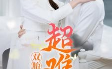 短剧《双胎小孕妻超难哄 (2025)》全集免费在线观看