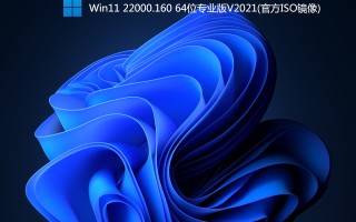 Windows11 22000.160下载_Win11 22000.160专业版(原版ISO镜像)