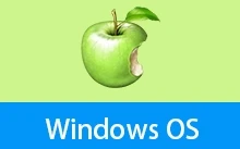 Win10 22H2 19045.6693 Pro x64 优化版 – 網傲 (20260113)