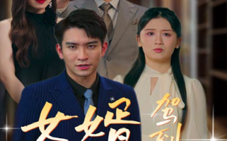 短剧《女婿驾到，通通闪开（34集全）》免费观看