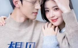 短剧《想见你 (2024)》全集免费在线观看