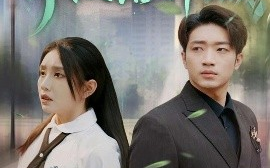 短剧《青枝落祁城（71集）陈坤&朱心怡 (2025)》全集免费在线观看