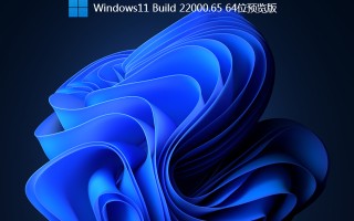 最新win11 22000.65 64位预览版 V2021(专业版ISO镜像)