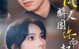 短剧《春风醉人因你而起 (2024)》全集免费在线观看