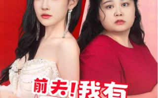 短剧《前夫！我有200斤仇恨想跟你算算（80集全）》免费观看