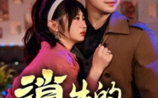 短剧《消失的20年（1-71集）》全集免费在线观看