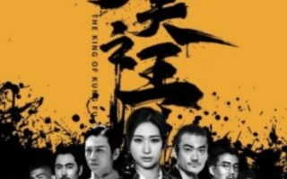 短剧《功夫之王（71集全）》免费观看