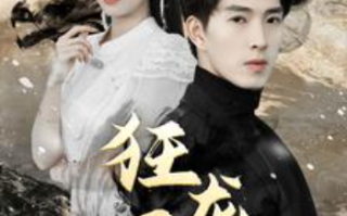 短剧《新：狂龙下山（100集全）》免费观看