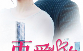 短剧《新：再爱一次（103集全）》免费观看