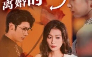 短剧《新婚夜，离婚时（35集全）》免费观看