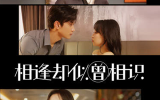 短剧《相逢却似曾相识（离婚后顾太太的马甲藏不住了）》全集免费观看